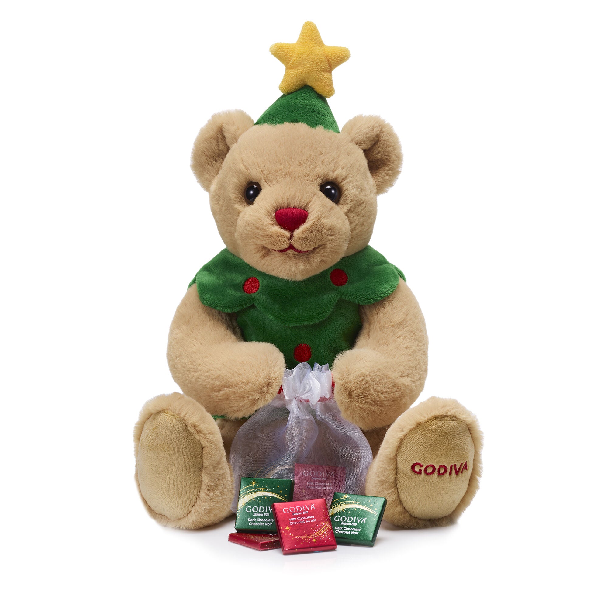 2023 Holiday Plush Bear with Star Ornament