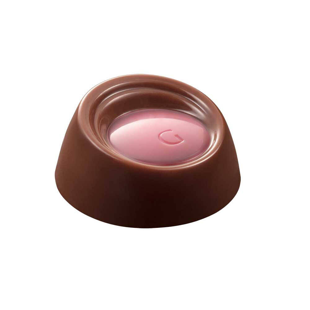 Gold Discovery Chocolate Gift Box Set